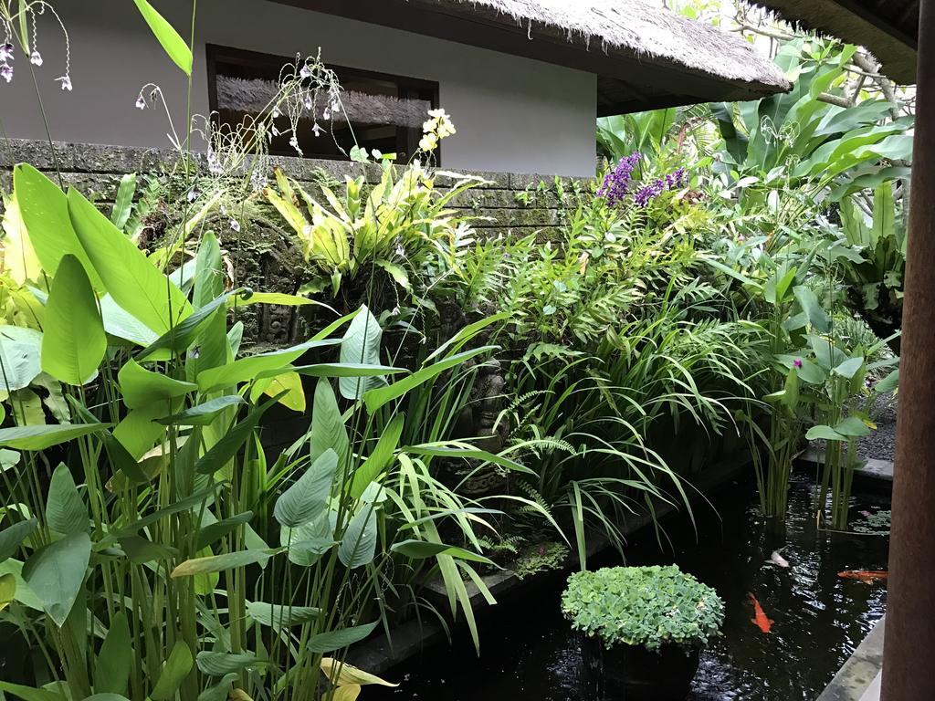 Bali Villa Aja Seminyak Eksteriør billede